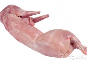 продам мясо кроликов