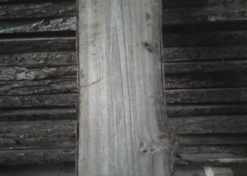 Доска карагач ясень массив