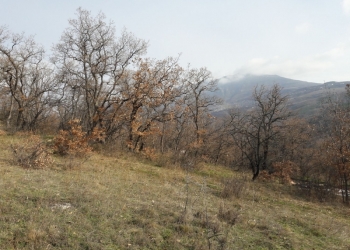Россия, Республика Крым, городской округ Алушта, село Нижняя Кутузовка р водохра