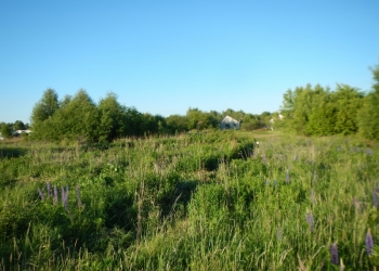 Отличный участок в Нижегородской области под строительство загородного дома