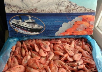 Икра, Морепродукты, Рыба