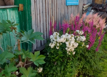 Продается земельный участок с домом, баней (продажа собственником)