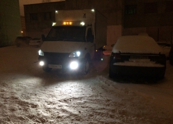 Газели