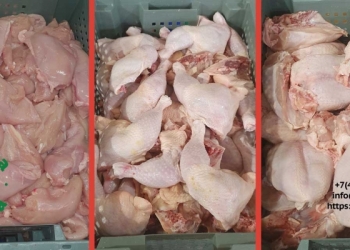 Куриная продукция оптом