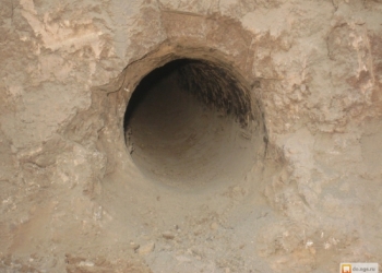    (  )