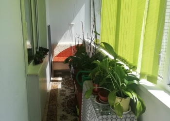 2-к квартира, 54 м2, 3/5 эт.