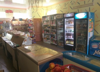 Продается готовый бизнес и жилой дом!