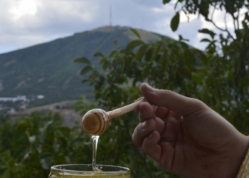 Продаю с личной пасике Алтайский мёд и Сыродавленное масло