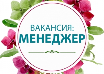 Менеджер консультант