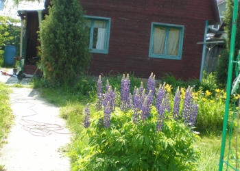 Дача 33 м2 под г.Чехов