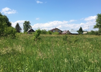 Продам участок в Городецком р-не