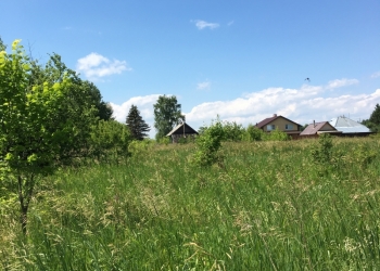 Продам участок в Городецком р-не