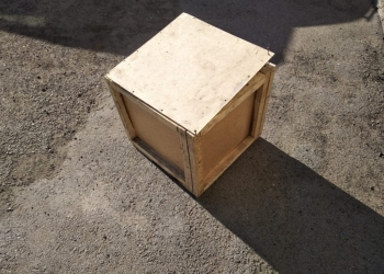 Папоротник соленый (Орляк)