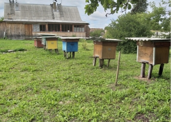 Продам дом 60 кв.м и земельный участок 400 Га