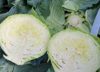 Картофель