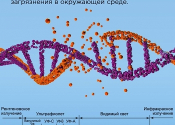 Пульсоксиметры, Респираторы, Бактерицидные лампы