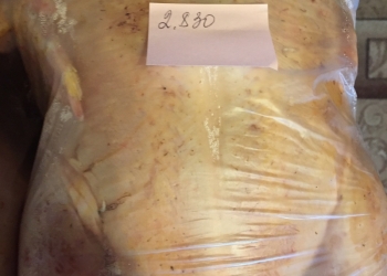 Парное мясо кур бройлеров