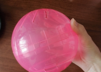 Прогулочный шар