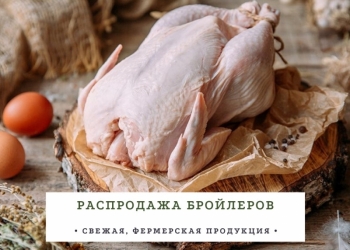 Мясо Курица (деревенское)