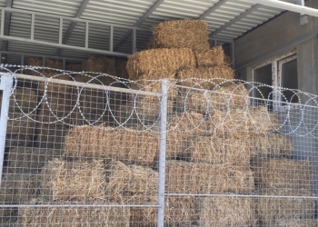 Сено Люцерны и Разнотравье