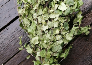 Веники для бани