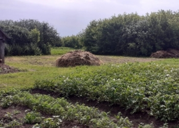 Продам дом
