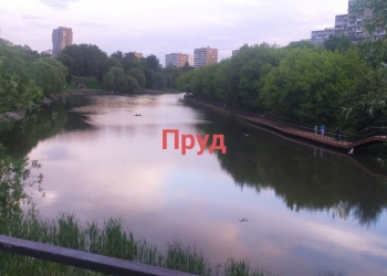 Аренда 2-к квартира, 40 м2, 11/12 эт.