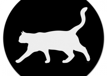 Куплю кошку?