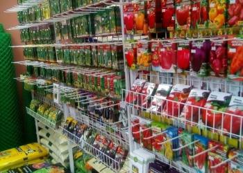 Продавец в магазин
