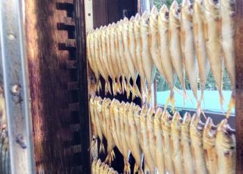 Черноморская раба