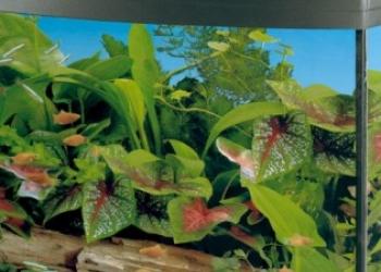 Аквариум 80л