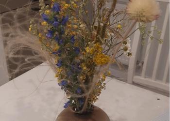 Математика