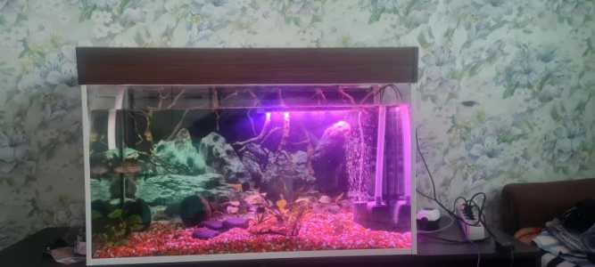 Аквариум на заказ