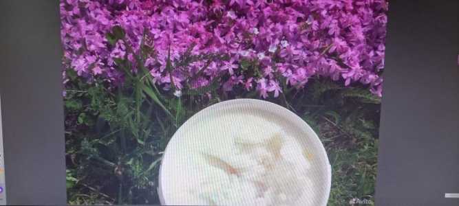 Кокосовое масло пищевое -2.5 кг.(ведро)