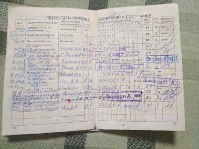 Кобельки западносибирской лайки