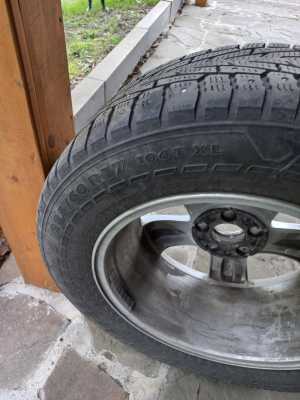 ������������ ����� ��������
