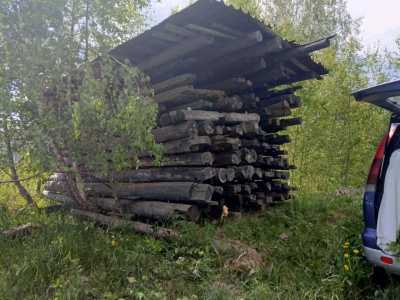 Сруб дома из бревна