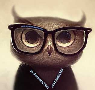 Перевод личных документов