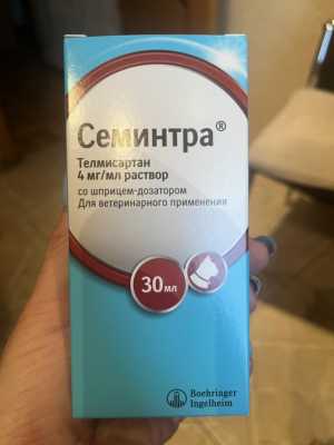 Домашние животные и зоотовары - купить недорогие корма и товары для ...