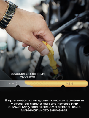���� �� ������ �������� ��� -10 � �������� ����� ACE M.C. GOLD