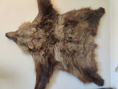 ����� ������ ����������� �������