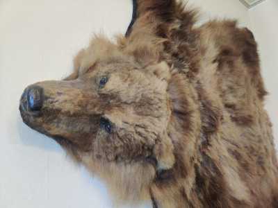 ����� ������ ����������� �������