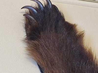 ����� ������ ����������� �������