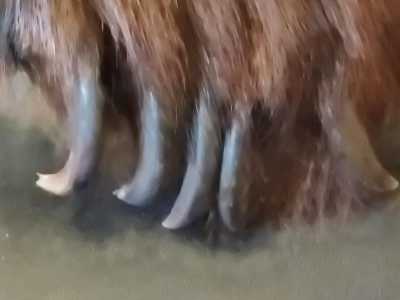 ����� ������ ����������� �������