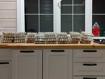 Перепелиное яйцо