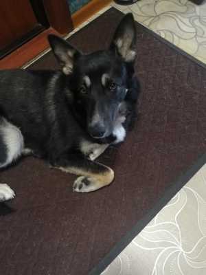 Самым добрым