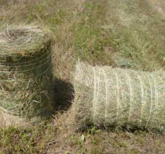 Сено в маленьких тюках