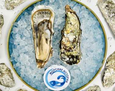 Дикие и фермерские устрицы. Морские Ежи. Доставка