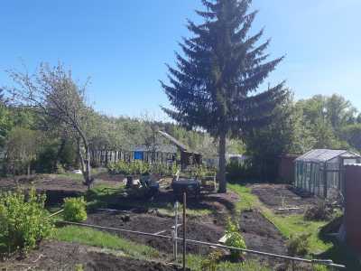Продам садовый участок с домом и огородом