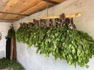 Берёзовые веники